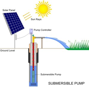 Solar-Water-Pump6